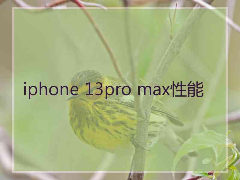 iphone 13pro max性能