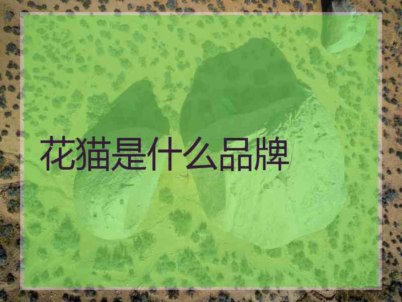 花猫是什么品牌