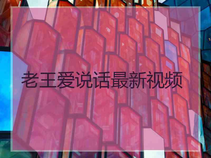 老王爱说话最新视频