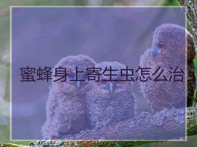 蜜蜂身上寄生虫怎么治