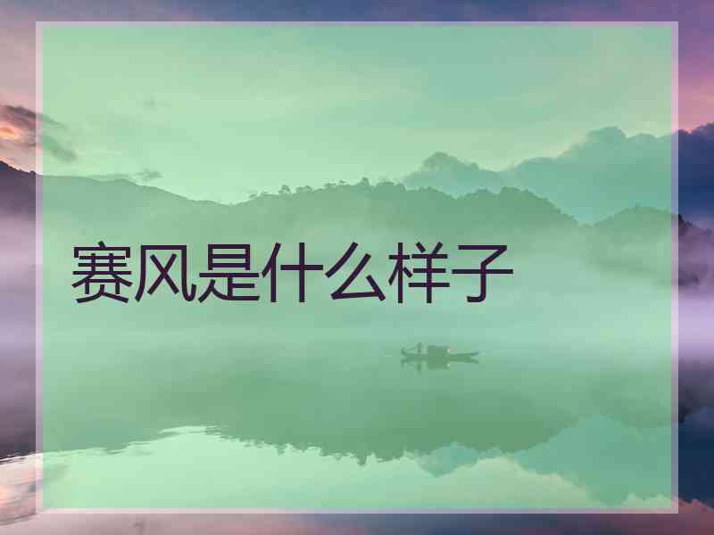 赛风是什么样子