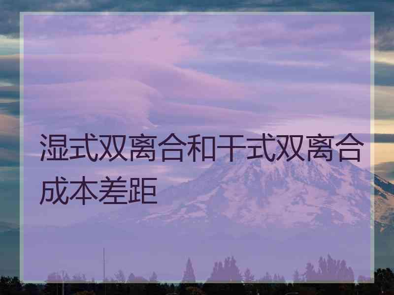 湿式双离合和干式双离合成本差距