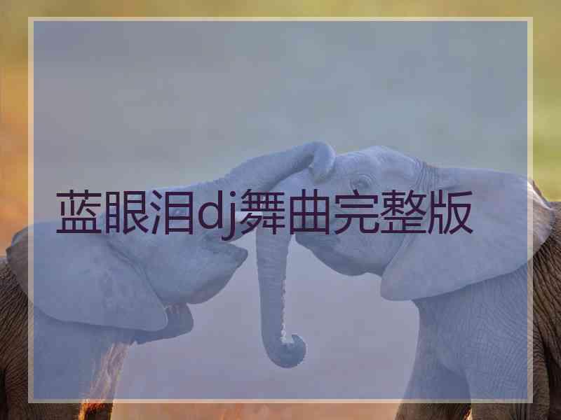 蓝眼泪dj舞曲完整版