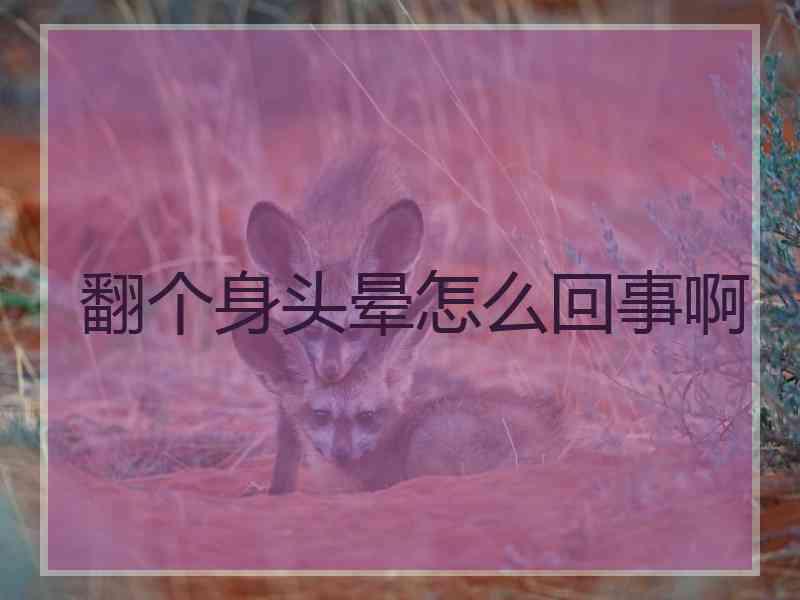 翻个身头晕怎么回事啊