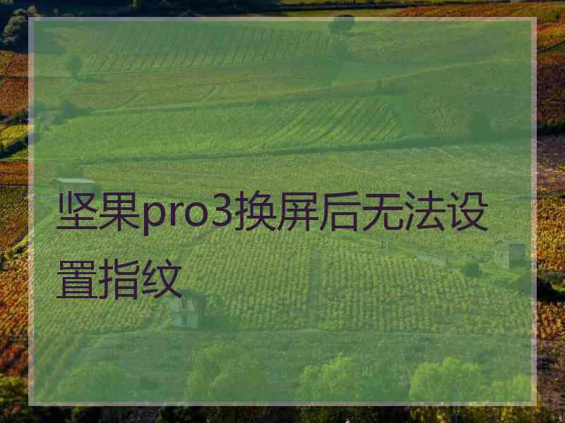 坚果pro3换屏后无法设置指纹
