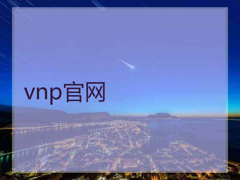 vnp官网