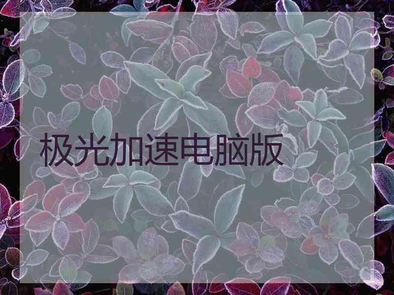 极光加速电脑版