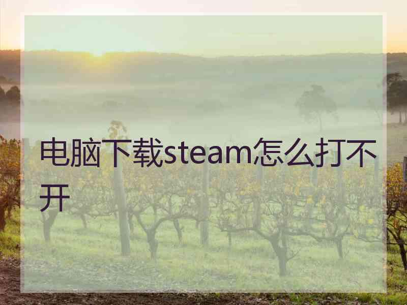 电脑下载steam怎么打不开