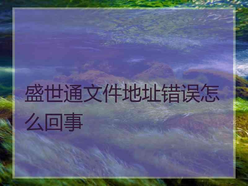 盛世通文件地址错误怎么回事