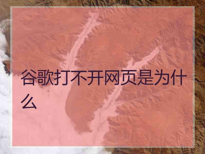 谷歌打不开网页是为什么