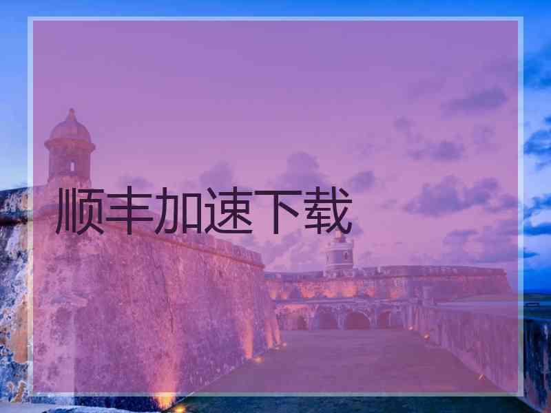 顺丰加速下载