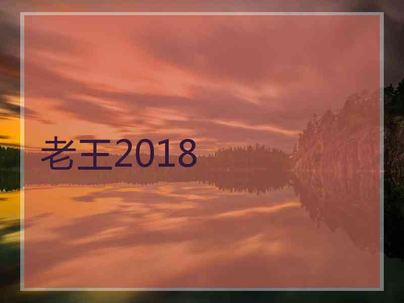 老王2018