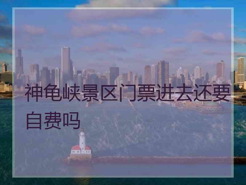 神龟峡景区门票进去还要自费吗