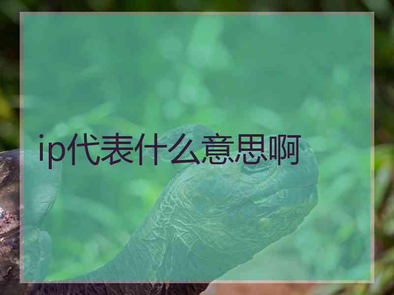 ip代表什么意思啊