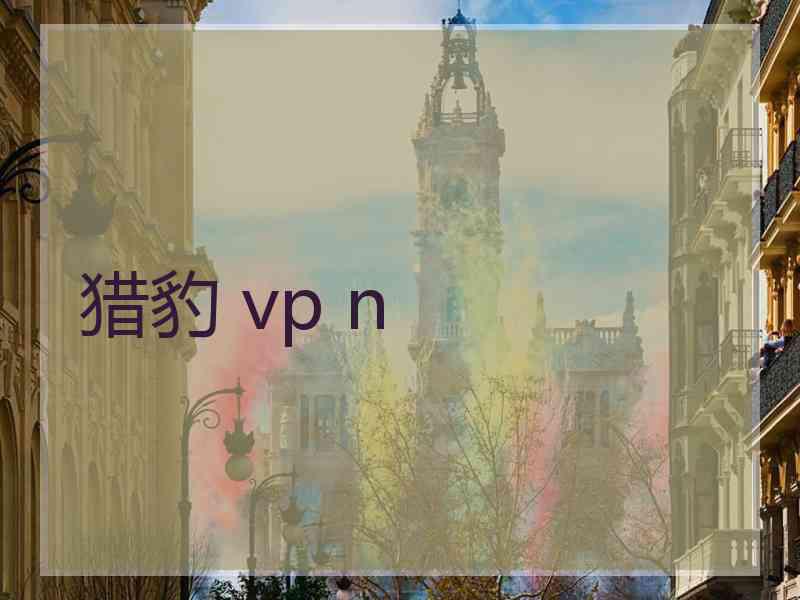 猎豹 vp n