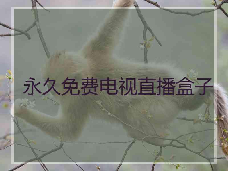 永久免费电视直播盒子
