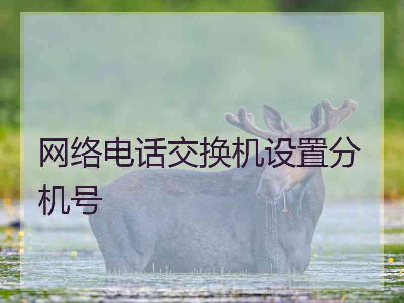 网络电话交换机设置分机号