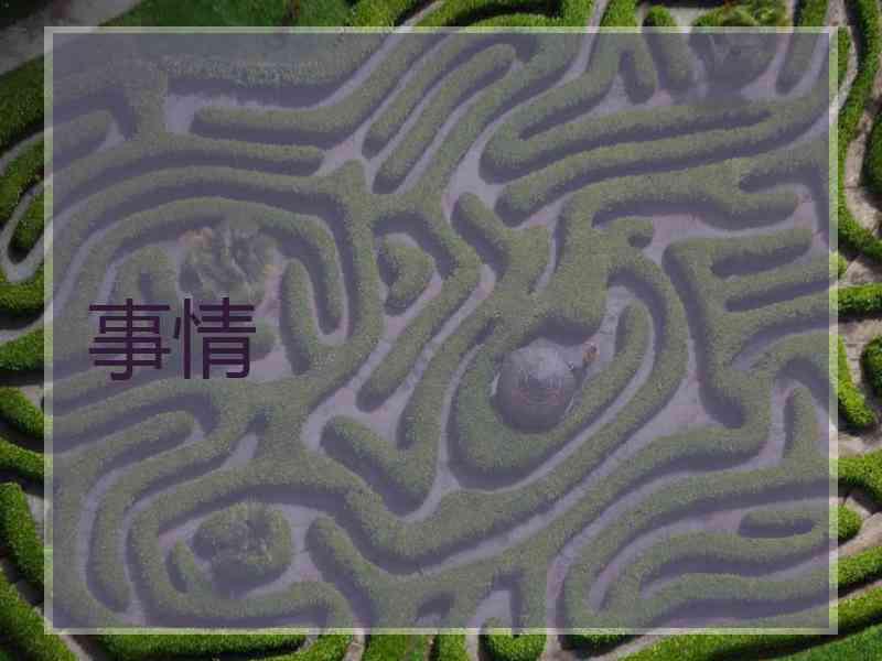 事情