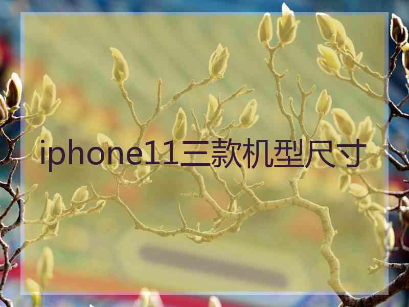 iphone11三款机型尺寸