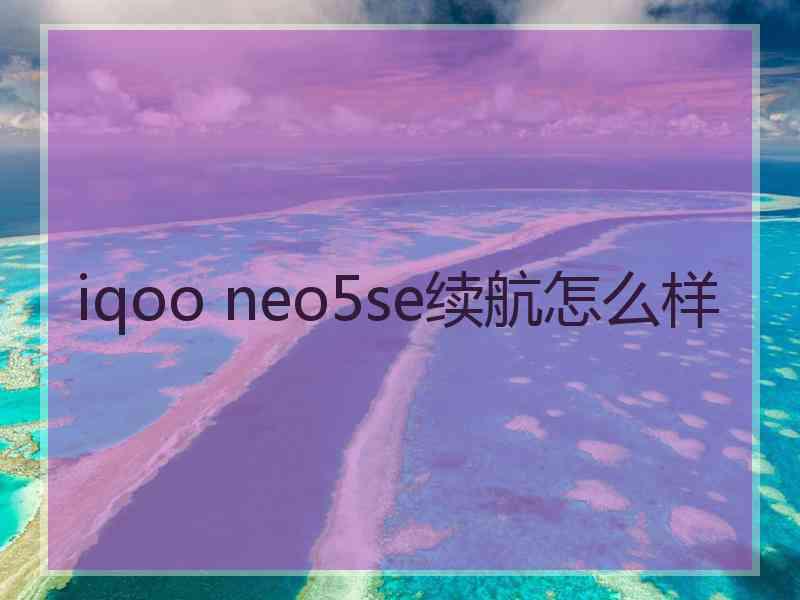 iqoo neo5se续航怎么样