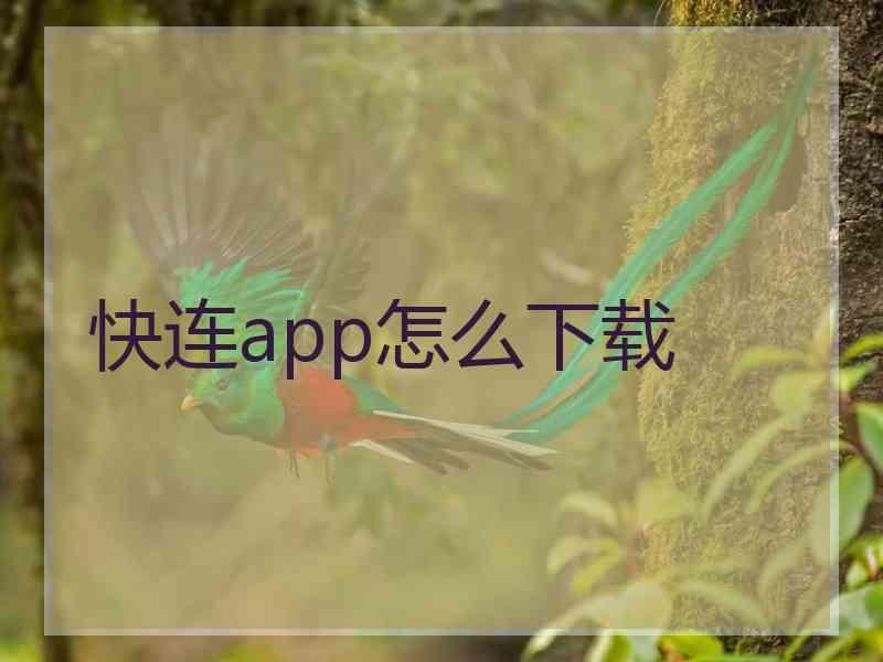 快连app怎么下载