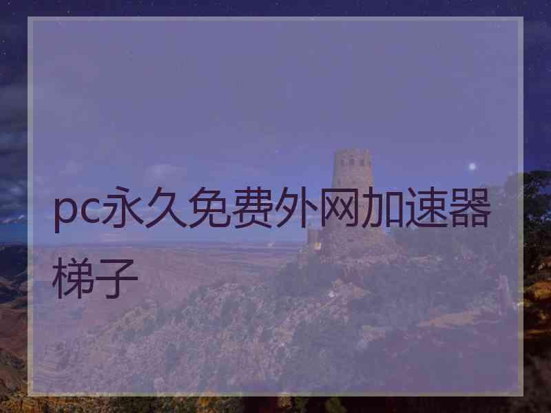 pc永久免费外网加速器梯子