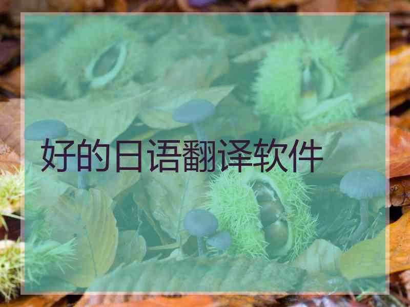 好的日语翻译软件