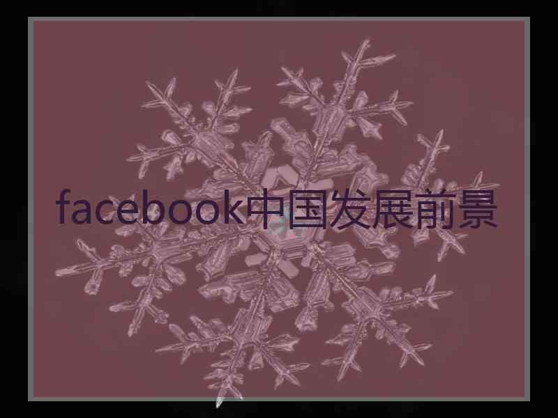 facebook中国发展前景