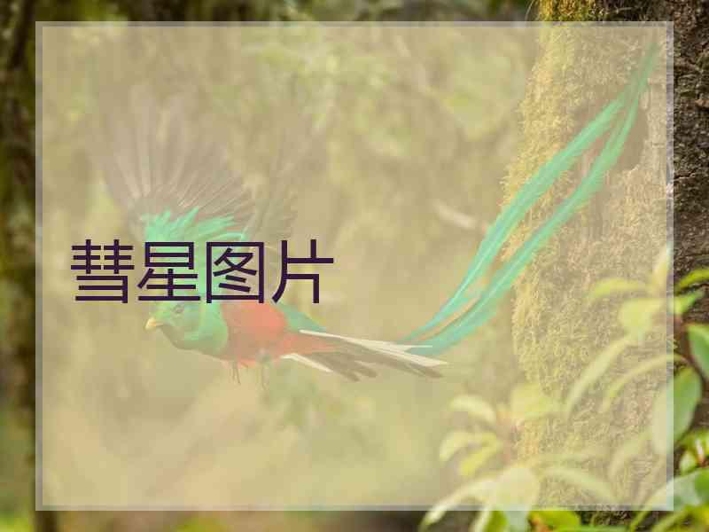 彗星图片