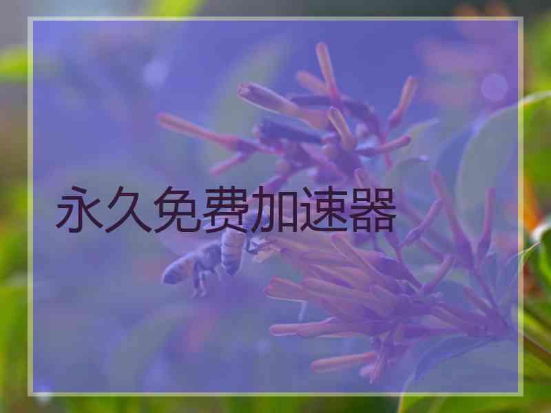 永久免费加速器