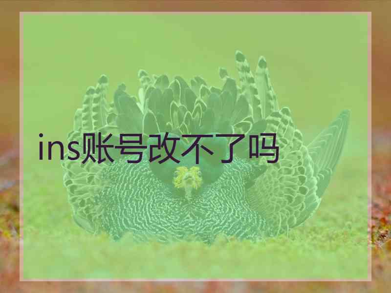 ins账号改不了吗