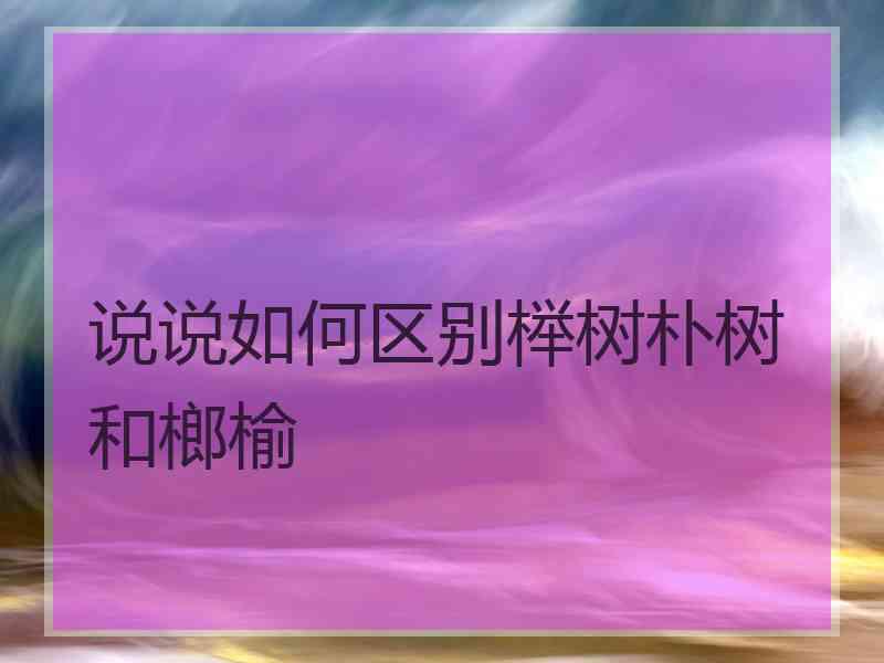 说说如何区别榉树朴树和榔榆