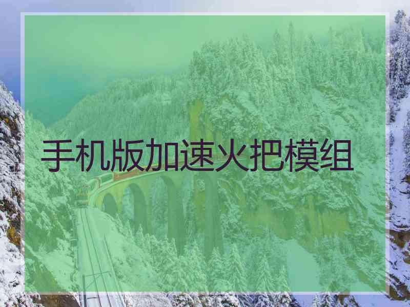 手机版加速火把模组