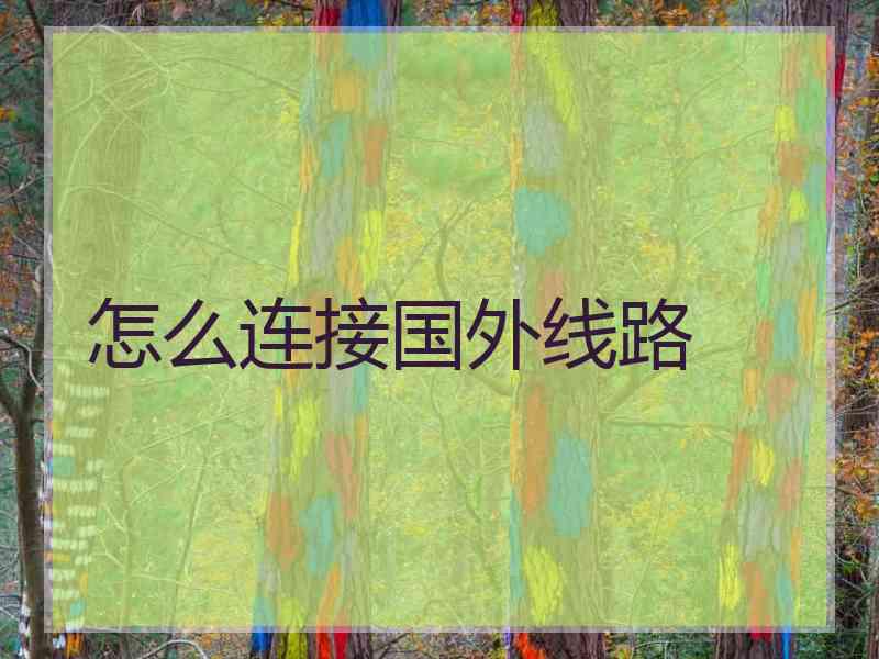 怎么连接国外线路