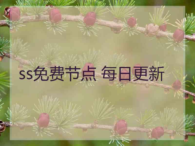 ss免费节点 每日更新