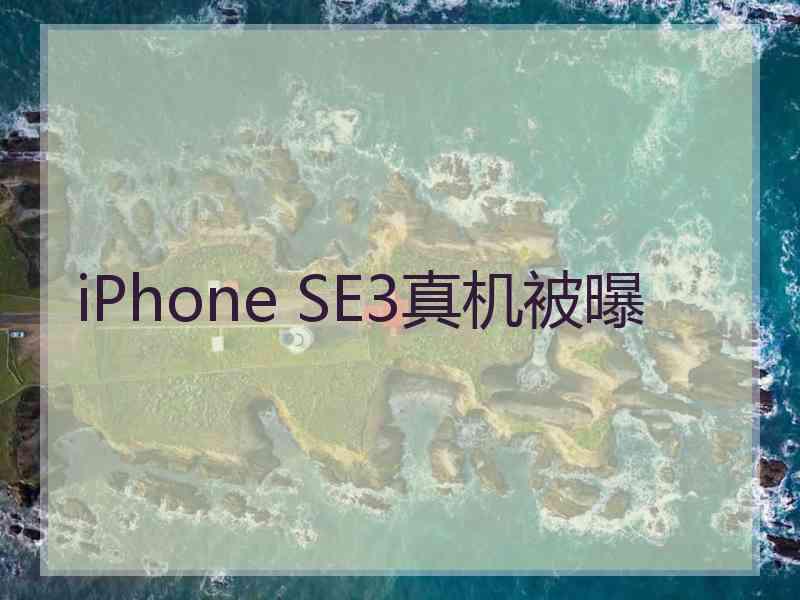 iPhone SE3真机被曝