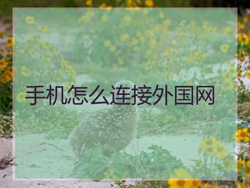 手机怎么连接外国网