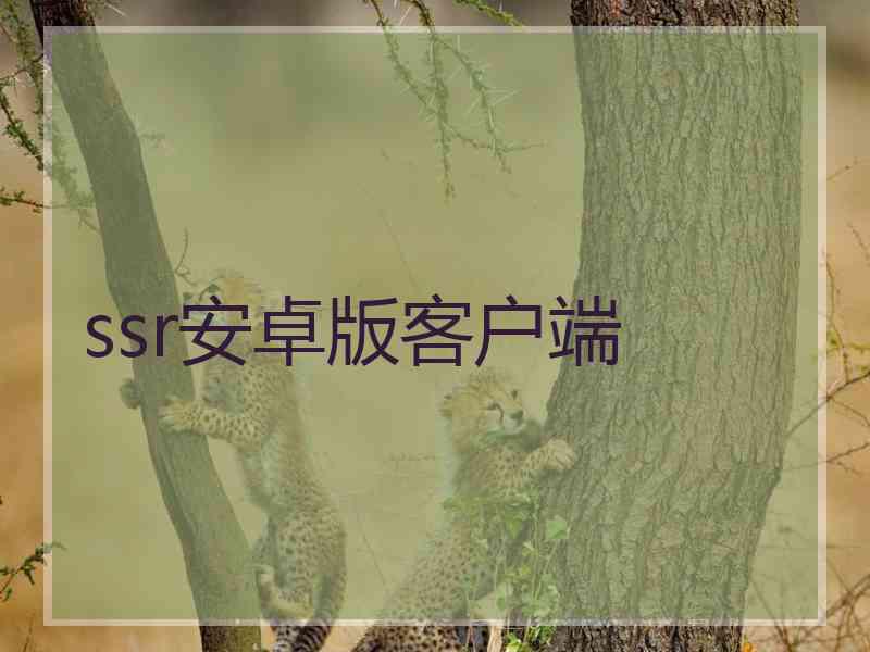 ssr安卓版客户端