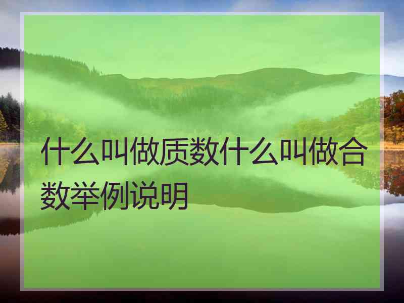 什么叫做质数什么叫做合数举例说明