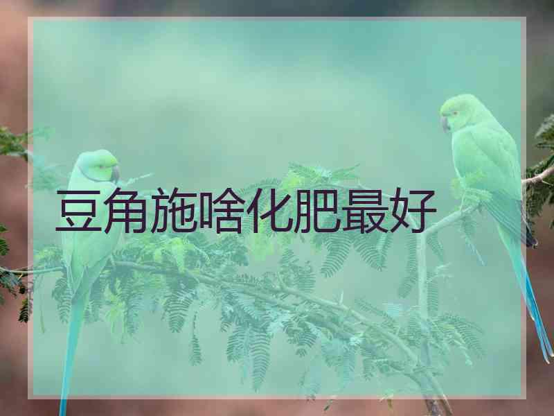 豆角施啥化肥最好