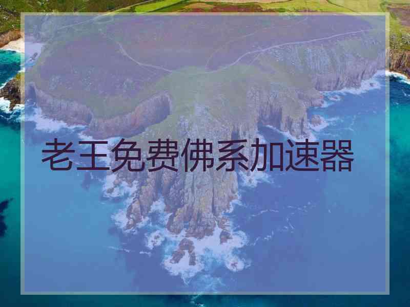 老王免费佛系加速器