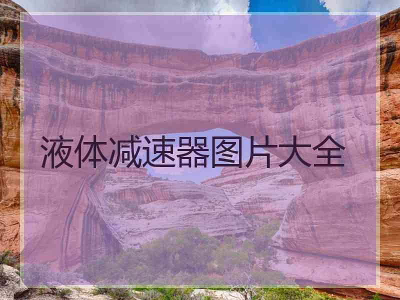 液体减速器图片大全