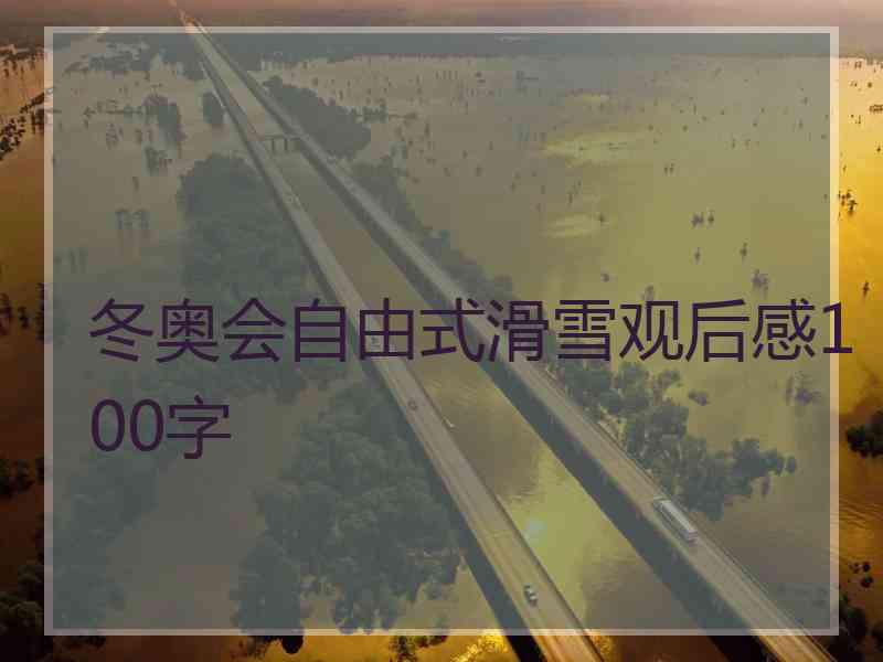 冬奥会自由式滑雪观后感100字
