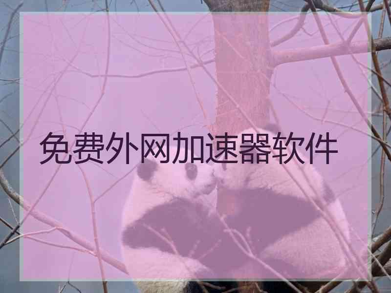 免费外网加速器软件