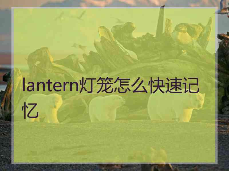 lantern灯笼怎么快速记忆