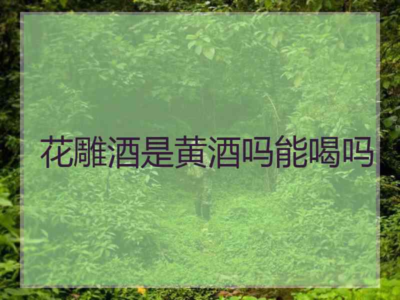 花雕酒是黄酒吗能喝吗