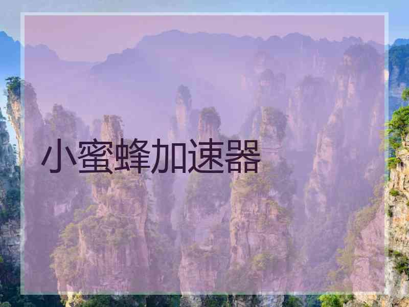 小蜜蜂加速器