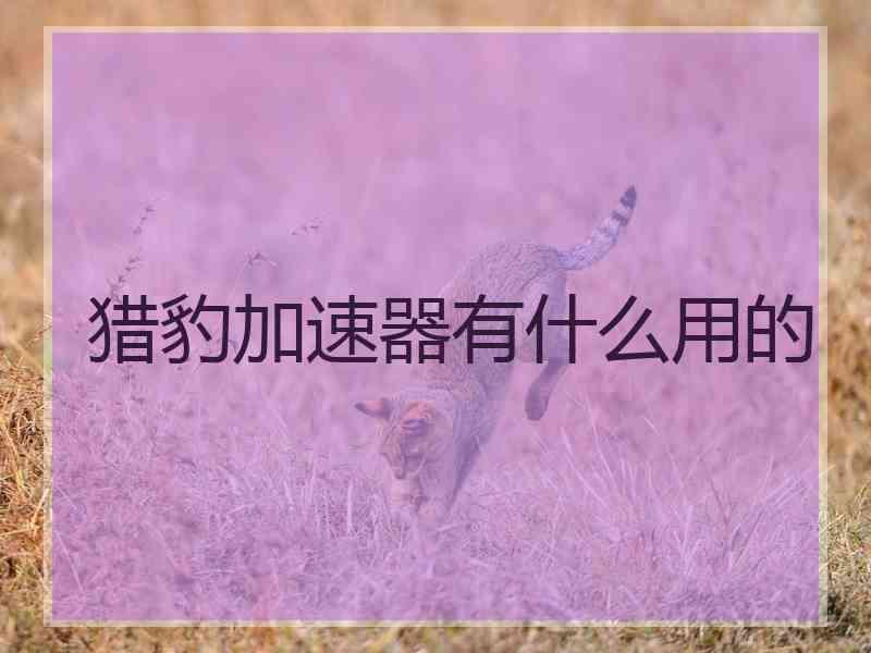 猎豹加速器有什么用的