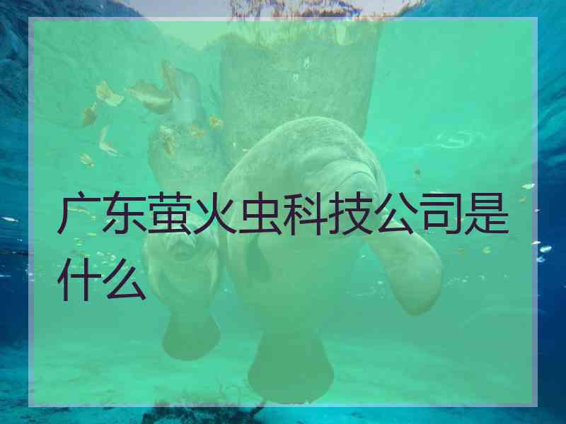 广东萤火虫科技公司是什么