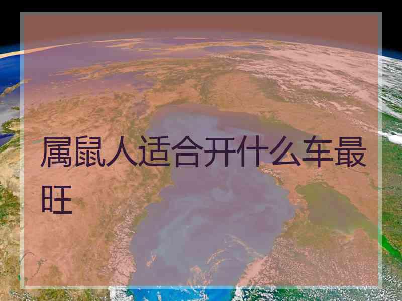 属鼠人适合开什么车最旺